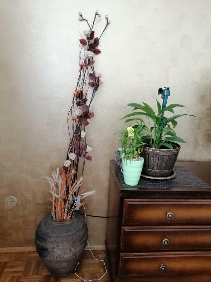 Apartman Maja Banja Luka Zewnętrze zdjęcie